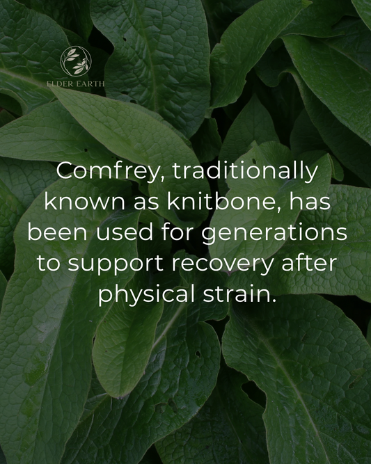 Comfrey leaves with text about its traditional use for recovery after physical strain, branded 'Elder Earth'.