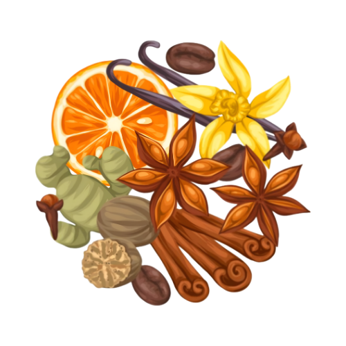 Illustration of various spices including an orange, vanilla bean, star anise, cinnamon stick, and cardamom pods on a white background.