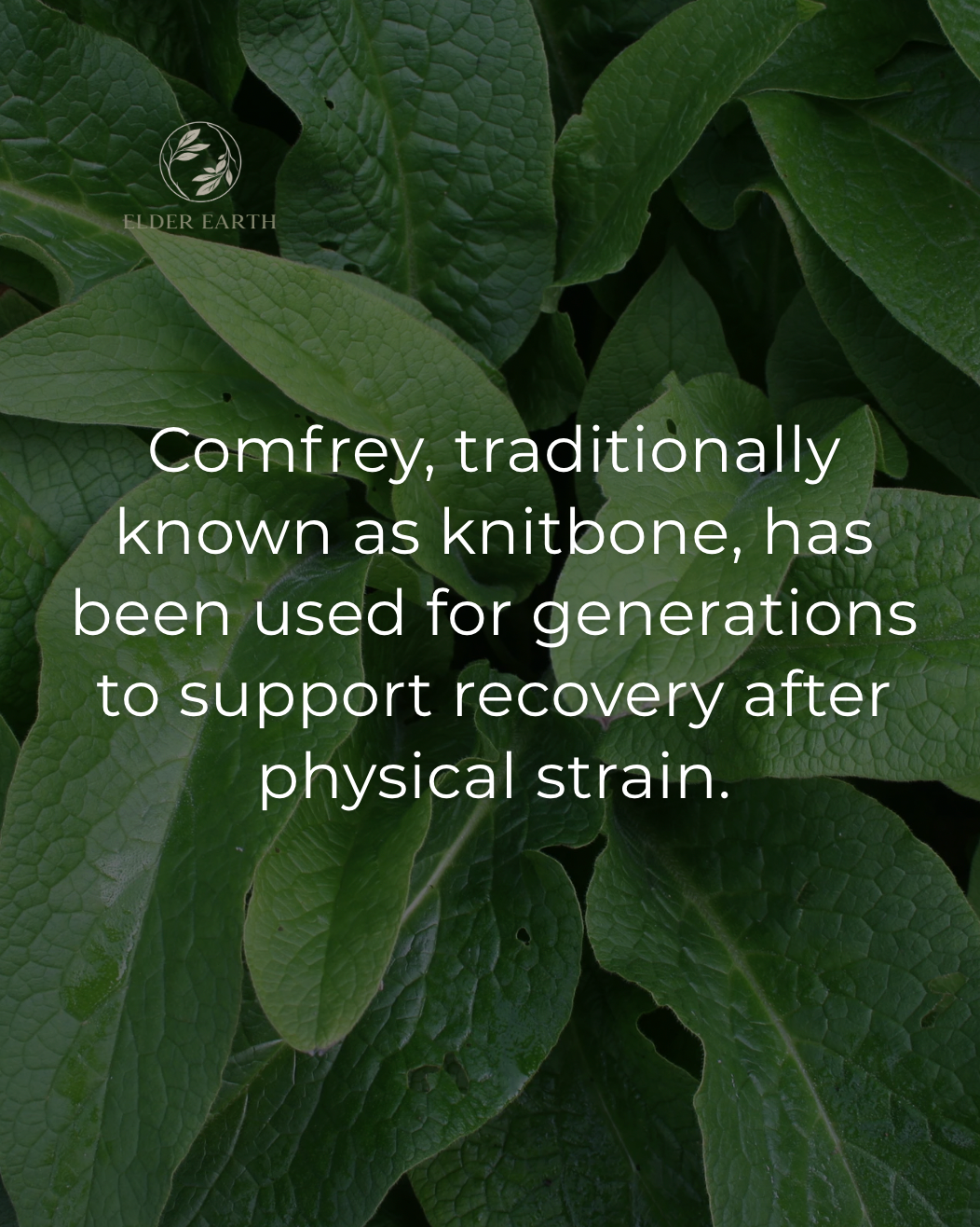 Comfrey leaves with text about its traditional use for recovery after physical strain, branded 'Elder Earth'.