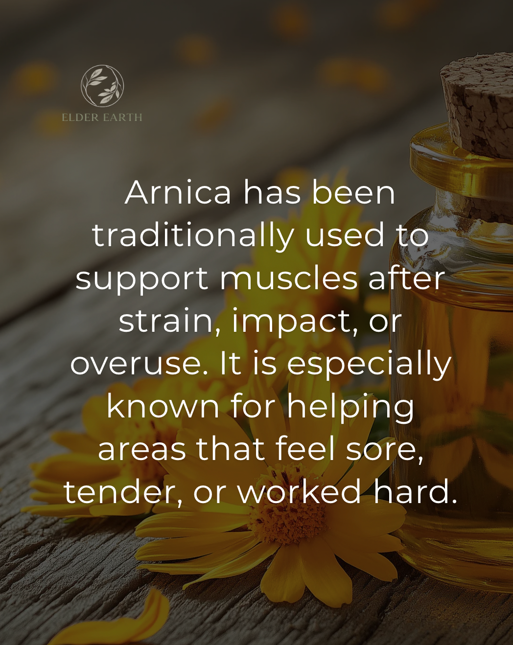 Text about Arnica's uses on a blurred background with flowers and a jar.